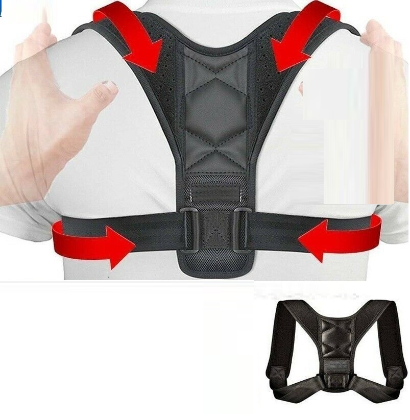 Buy Support Belt - Back Support Body Brace